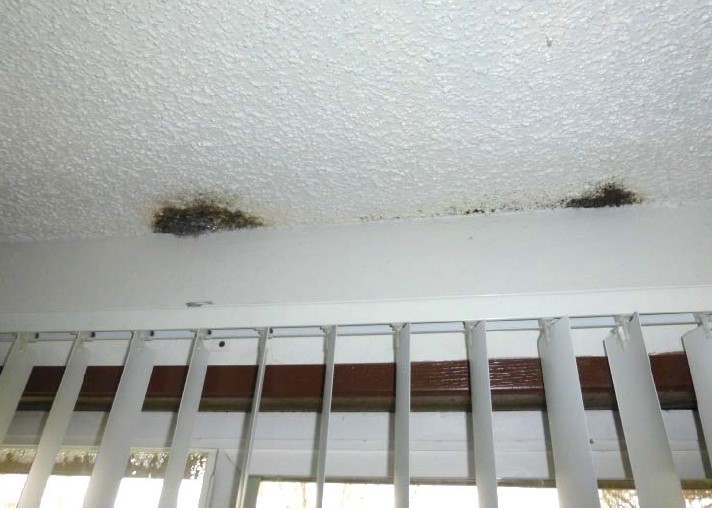 Mold